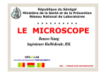 Presentation du Microscope