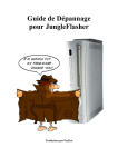 Guide de Dépannage pour JungleFlasher