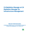 CA Mediation Manager - CA Support