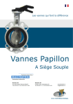 Vannes Papillon