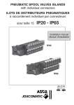 PNEUMATIC SPOOL VALVES ISLANDS with