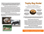 Trophy Bag Kooler
