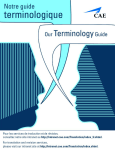 Guide terminologique cae