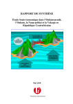 Rapport Final Etude Socioeco DDR PNUD