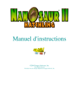 Manuel d`instructions