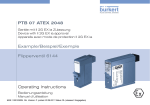 Operating Instructions PTB 07 ATEX 2048 Example