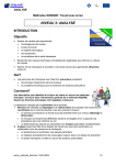 NIVEAU 3: ANALYSE - Stratégie SOBANE