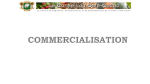 Commercialisation - Le Conseil du Café