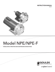 Model NPE/NPE-F - Armstrong International