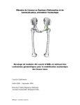 Mémoire de Licence en Système d`Information et de Communication