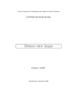 Version PDF - Stéphane Albin