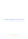 W4 SAP Connector for Java