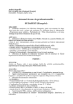 Mon CV en PDF - Negrelli, Andréa
