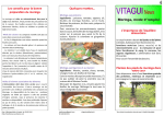 Flyer 4 Moringa Mode d `emploi - vitalite news