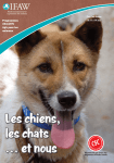 Les chiens, les chats et nous