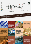 EffiNews Déchets