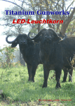 LED-Leuchtkorn - Titanium Gunworks