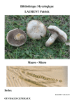 Genre Vascellum - Société Mycologique des Hautes Vosges