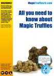 All you need to know about Magic Truffles