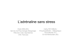 L`adrénaline sans stress!