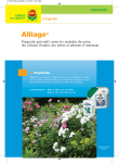 Alliage® - COMPO EXPERT