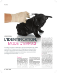 L`identification, - PetMarket Magazine