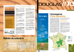 Pour en savoir plus sur le Douglas