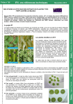 Des études in vitro sur des extraits de plantes type PNPP contre le