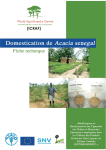 Domestication de Acacia senegal