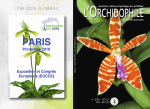 extraits gratuit du n°206 - Société française d`Orchidophilie