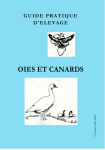 guide pratique elevage canards & oies_centre Songhai