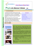 Phyto-info Meknès-Tafilalet n°06