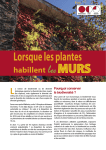 Lorsque les plantes habillent lesMURS