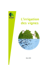 Plaquette Irrigation de la vigne (2010)