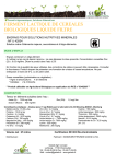 ferment lactique de cereales biologiques liquide filtre