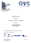 44121 - Dirisoft 2011 - Rapport final