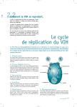 e Le cycle de réplication du VIH