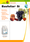 Basfoliar® Si - COMPO EXPERT