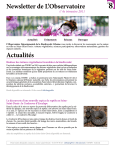 Newsletter de L`Observatoire Actualités - seine-saint
