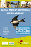 Devine, combien d`hirondelles sont nos voisines ?