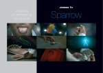 Sparrow / Livret enseignant - Languedoc Roussillon Cinéma