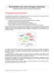 Normalisation des noms d`images numérisées