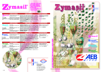 ZYMASIL depliant 2005.FH10