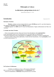 Philosophie et Culture La littérature, jurisprudence de la vie