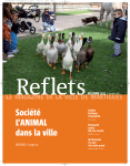 Reflets, le magazine de la ville de Martigues n°66