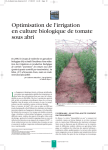 Optimisation de l`irrigation en culture biologique de tomate sous abri