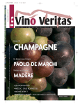 champagne - In Vino Veritas