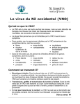 Le virus du Nil occidental (VNO)