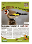 Les oiseaux remontent-ils vers le nord ?