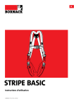 STRIPE BASIC